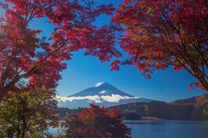 Mt. Fuji in autumn photo