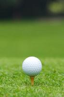 A white golf ball sat on a tee
