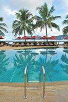 tumbonas y sombrillas junto a la piscina en un resort tropical