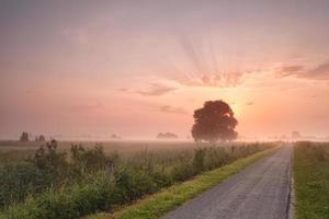 brumoso amanecer de verano sobre carretera de bicicleta foto