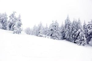 Snowy Mountain. photo