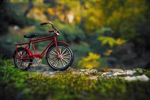 Red bicycle photo