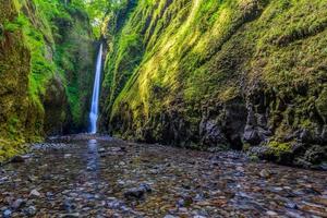 Beautiful waterfall and canyon in Oneonta Gorge trail, Oregon photo