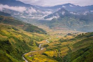 terrazas de arroz en vietnam foto