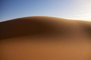 duna en el desierto foto