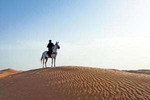 Sahara Desert photo