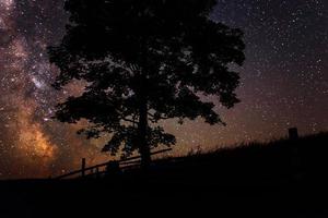 starry sky photo