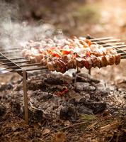 foto de kebab en llamas en el bosque