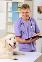 veterinario profesional examinando un perro