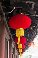 Chinese lantern photo