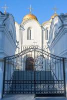 Assumption Cathedral, Vladimir shot close-up