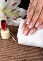 Female soft hands with beautiful french manicure photo