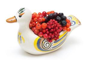 berries in ceramic duck