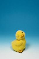 Baby Duck Toy photo