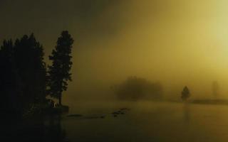 amanecer niebla sobre el río yellowstone, montana, uaa. foto