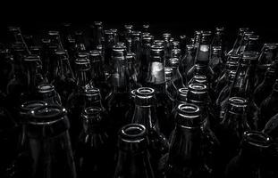 beer bottles photo