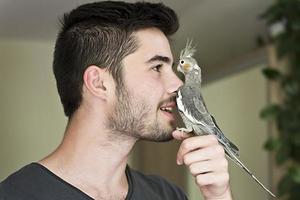 Attractive man playing with his parrot indoors