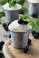 Delicious ice cream with berry and mint photo