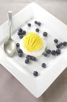 lemon ice cream on meringue photo