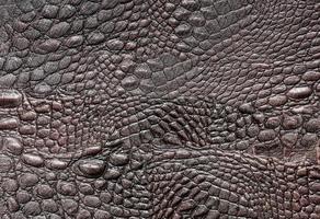 Crocodile leather photo