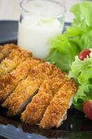 Deep fried breaded pork rice with salad photo