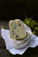 conjunto de queso con un molde blanco y azul foto