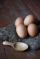 huevo sobre fondos de madera