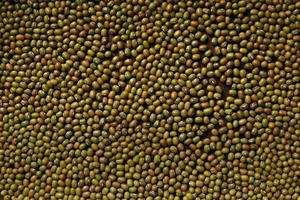 Green mung beans background photo