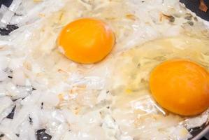 Fried egg photo