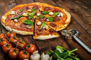 Rustic pizza with salami, mozzarella and spinach