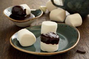 marshmallow with shkoladnym sauce. photo