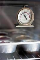 Oven Thermometer photo