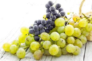 Bunch of grapes photo