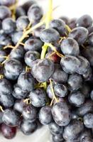 Close up of  grape fruits.