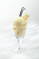 Rich creamy vanilla icecream photo