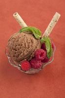 chocolate ice cream bowl photo