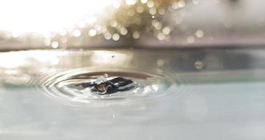 Water Droplet Landing In Water photo