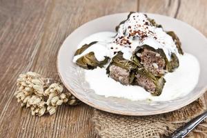 Turkish cuisine yaprak sarma with yogurt photo