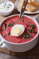 Cold beet soup with egg and herbs closeup. Vertical