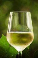 vino blanco coid y uvas verdes sobre fondo borroso natural foto