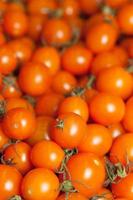 mini tomates cosechados foto