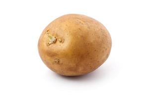 Potato Germinating photo