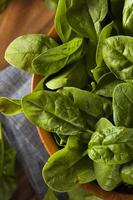 Raw Green Organic Baby Spinach photo