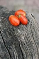Tomatos on a log photo