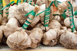 fresh garlic for sale photo