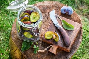 Natural pickled plums in the garden