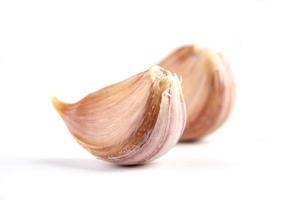Garlic photo