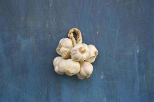 healthy garlic bulb vegetable bunch on wall photo