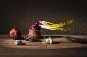 cebollas germinadas y granada seca foto