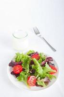 Lettuce tomato salad